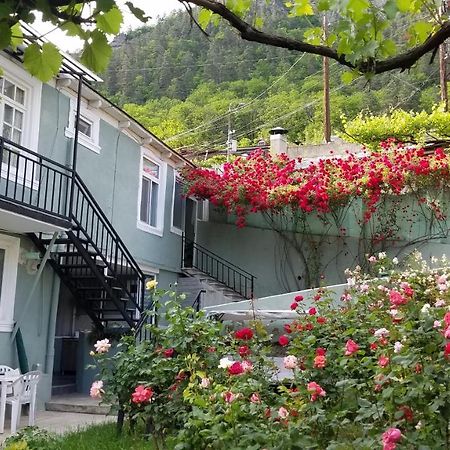 Guest House Green Rose Borjomi Eksteriør billede