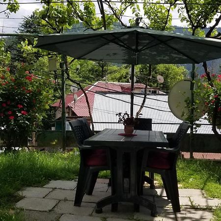 Guest House Green Rose Borjomi Eksteriør billede