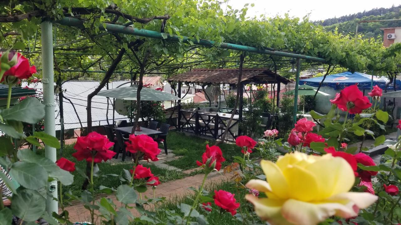 Guest House Green Rose Borjomi Eksteriør billede