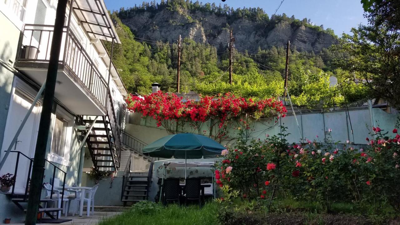 Guest House Green Rose Borjomi Eksteriør billede
