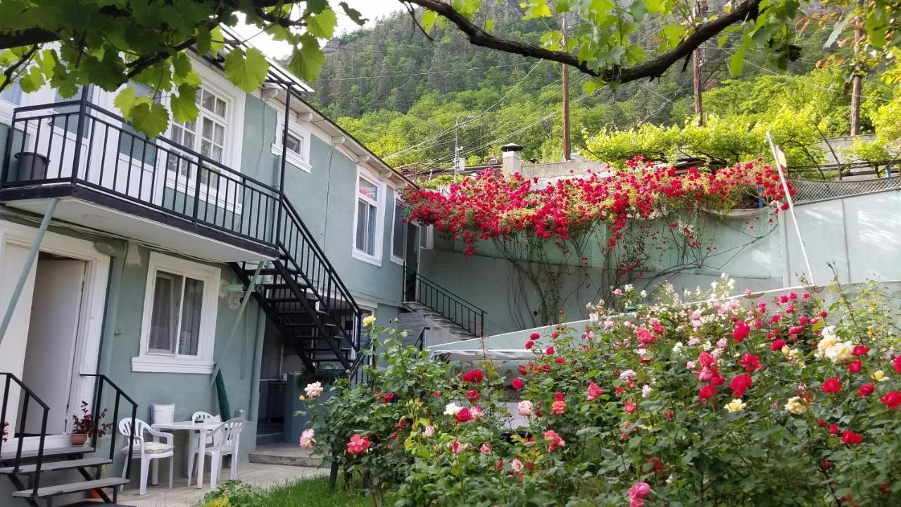 Guest House Green Rose Borjomi Eksteriør billede