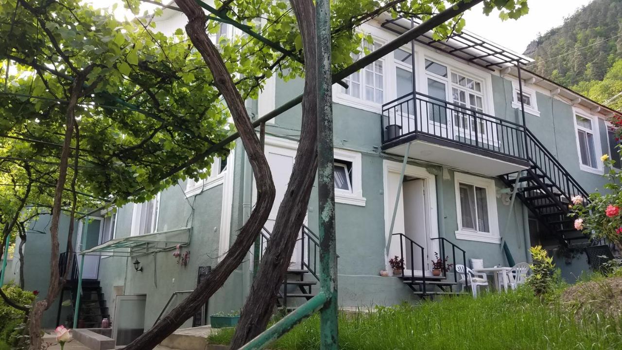 Guest House Green Rose Borjomi Eksteriør billede