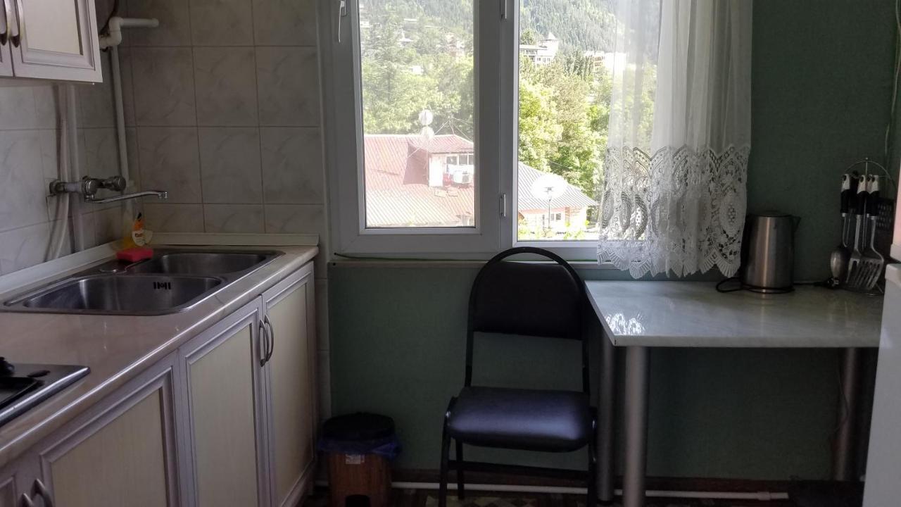 Guest House Green Rose Borjomi Eksteriør billede