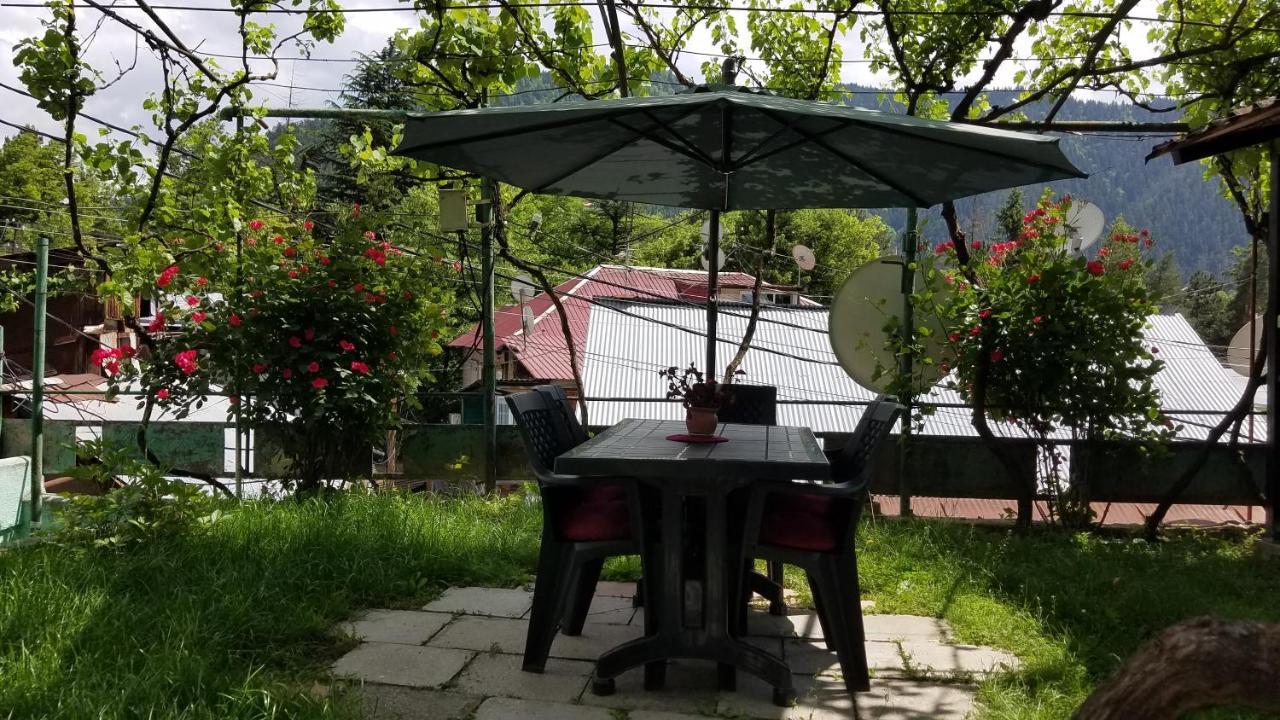 Guest House Green Rose Borjomi Eksteriør billede