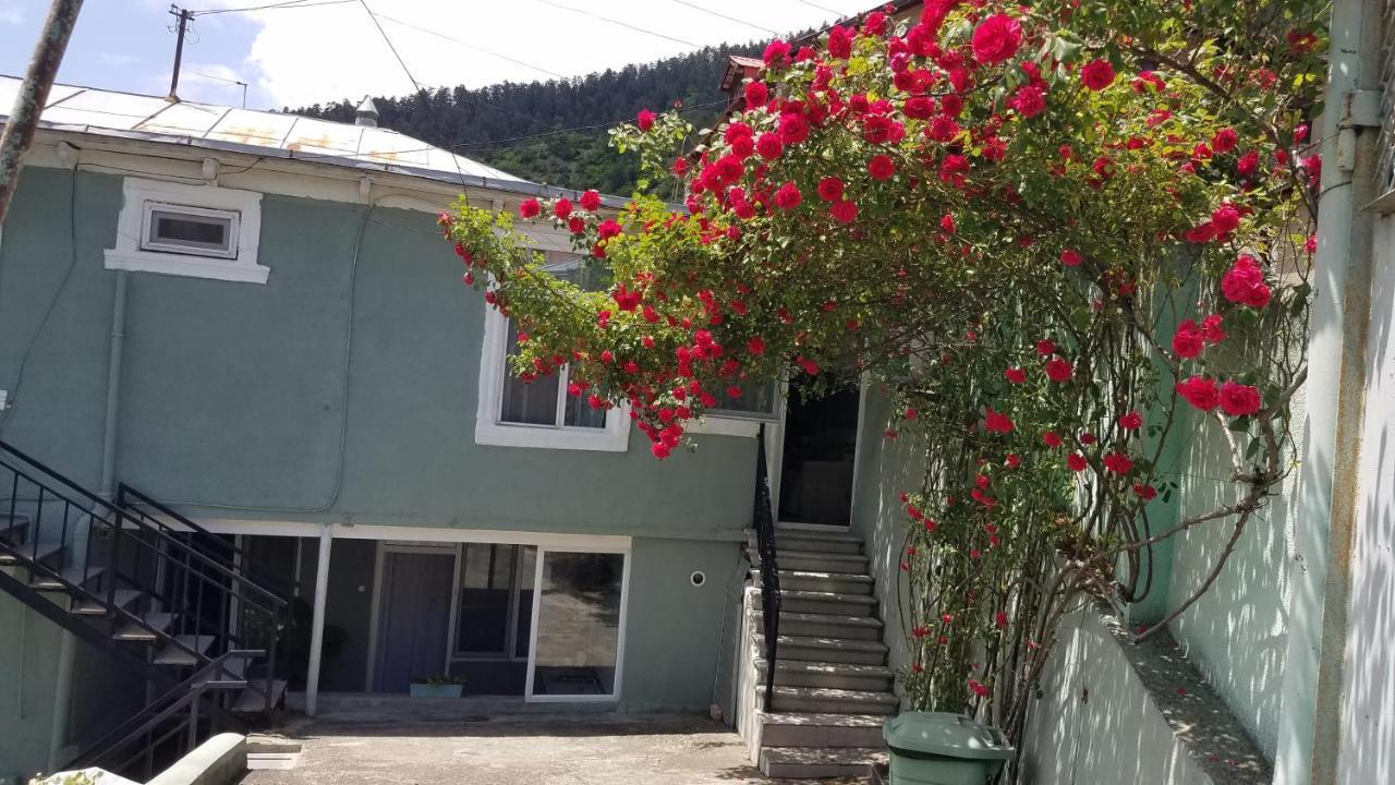 Guest House Green Rose Borjomi Eksteriør billede