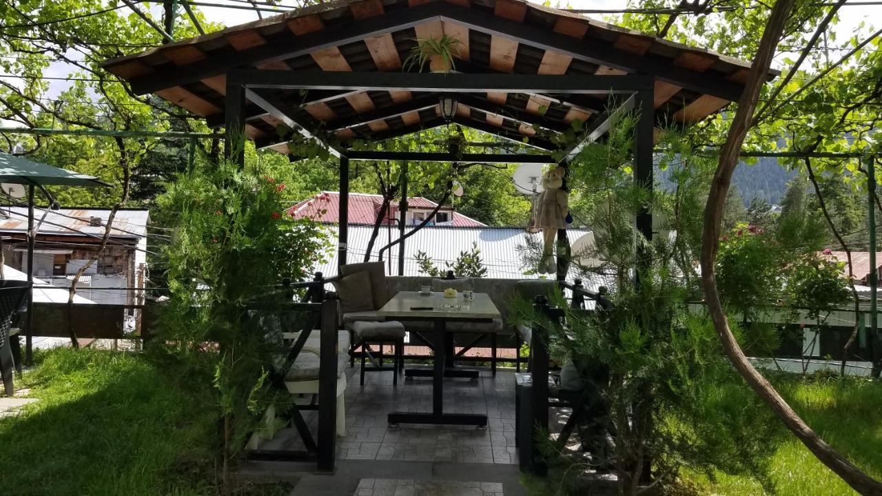 Guest House Green Rose Borjomi Eksteriør billede