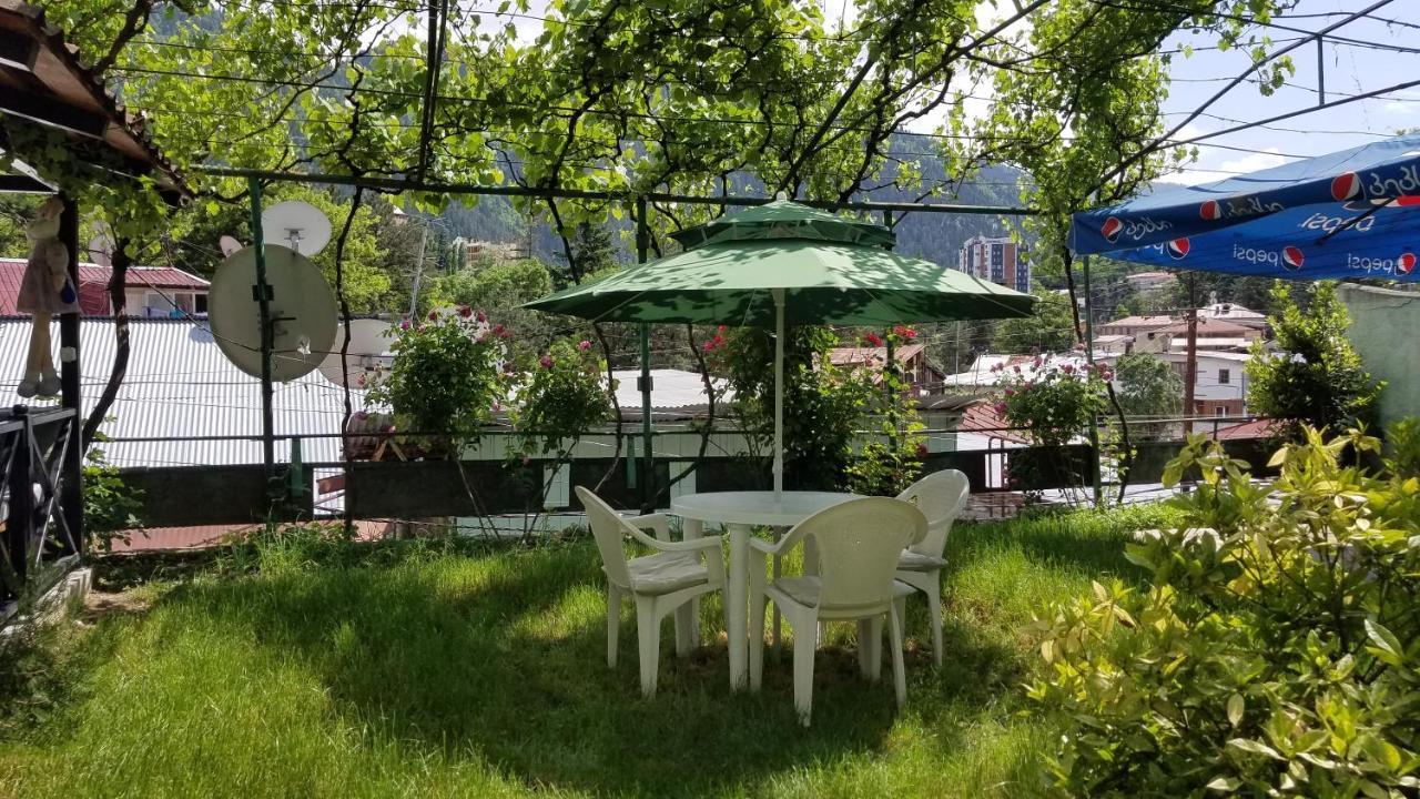 Guest House Green Rose Borjomi Eksteriør billede